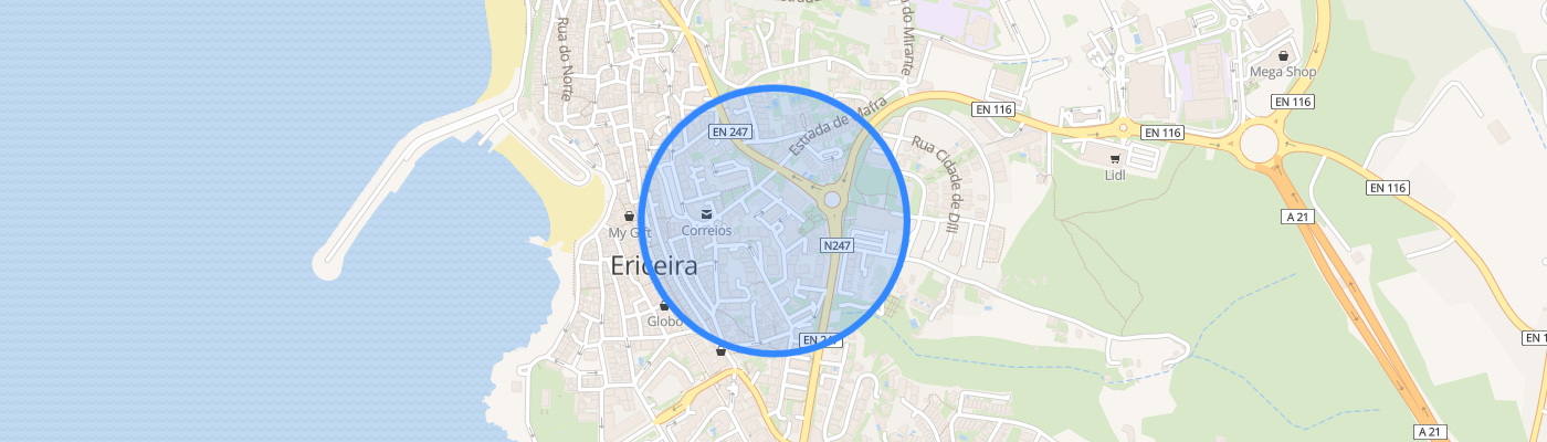 listing-map-picture