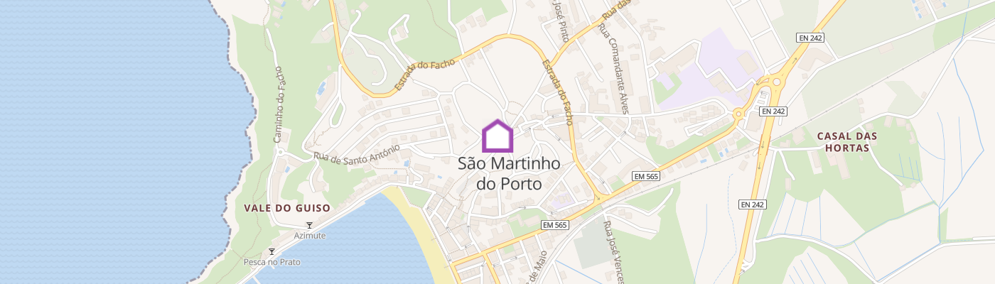 listing-map-picture