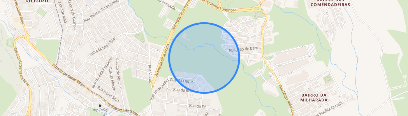 listing-map-picture