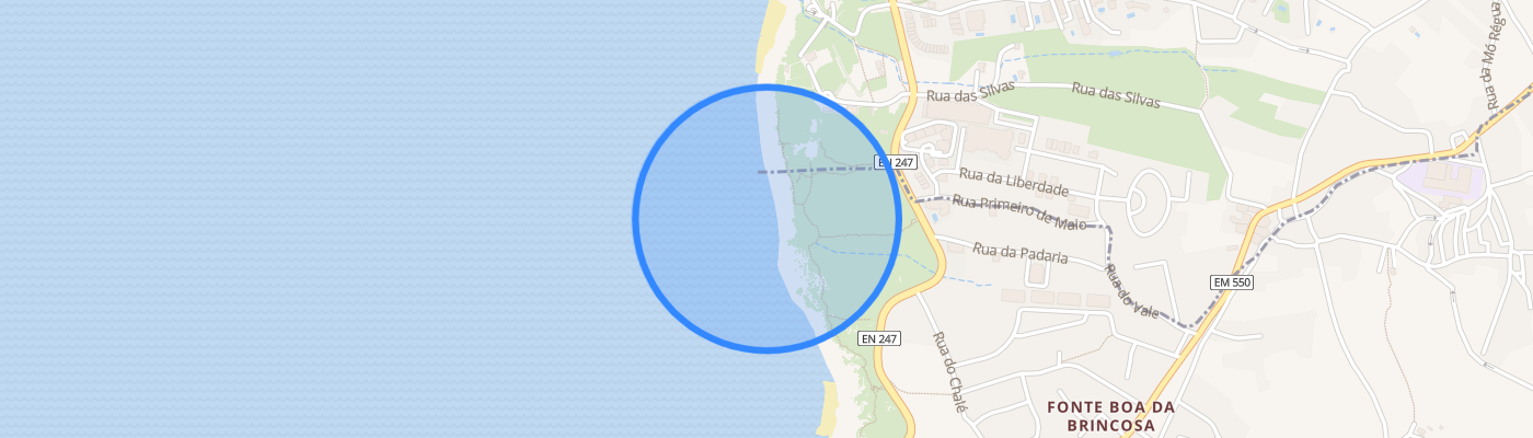 listing-map-picture