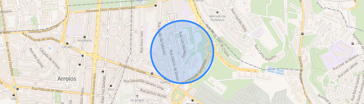listing-map-picture