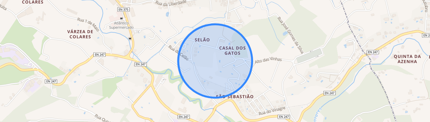 listing-map-picture