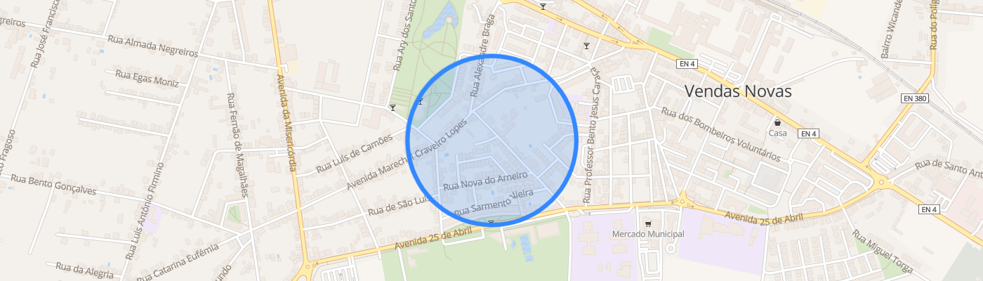 listing-map-picture