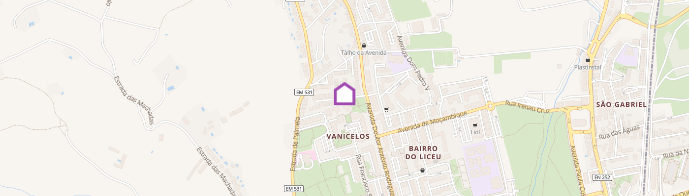 listing-map-picture