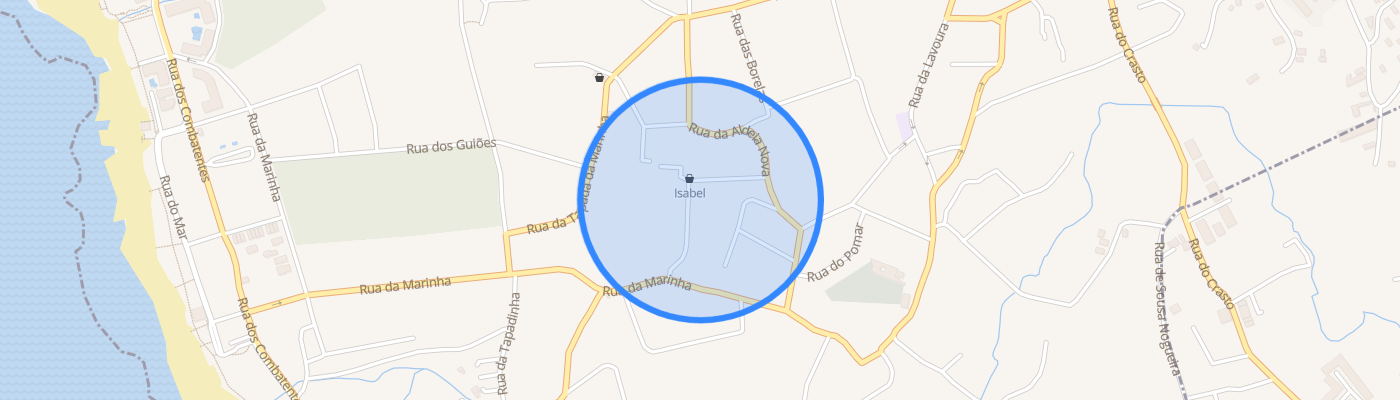 listing-map-picture