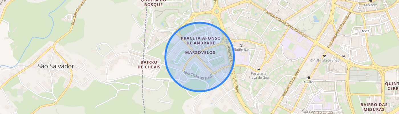 listing-map-picture
