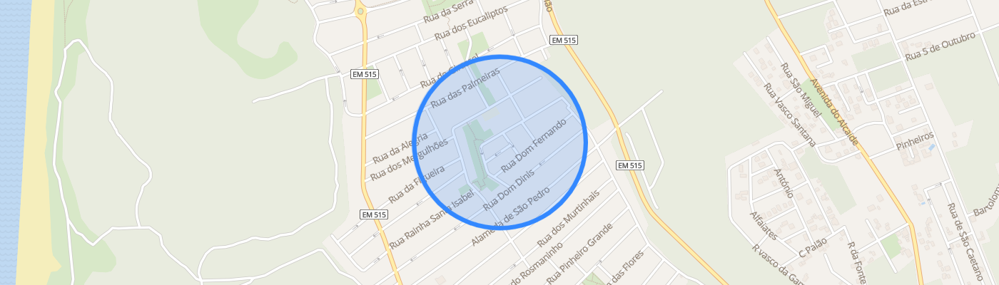 listing-map-picture