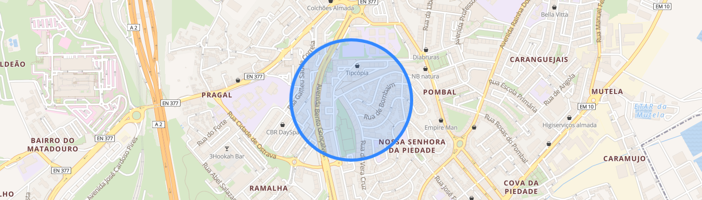 listing-map-picture