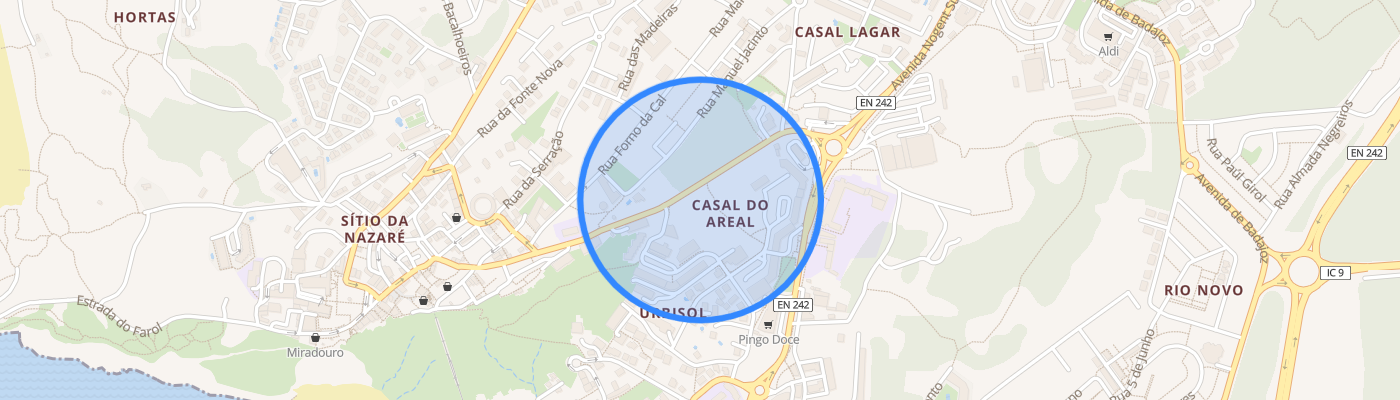 listing-map-picture