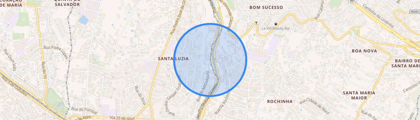 listing-map-picture