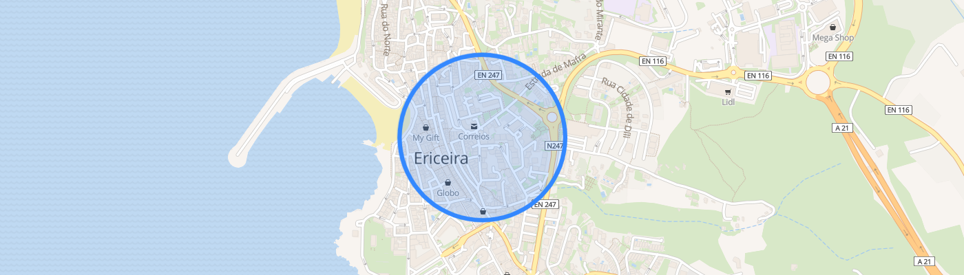 listing-map-picture