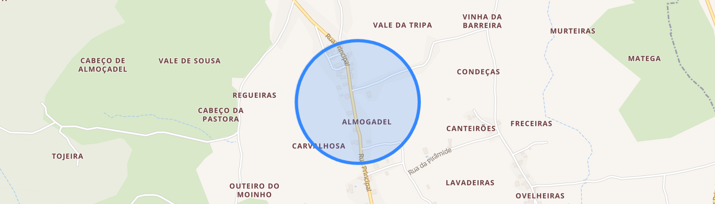 listing-map-picture