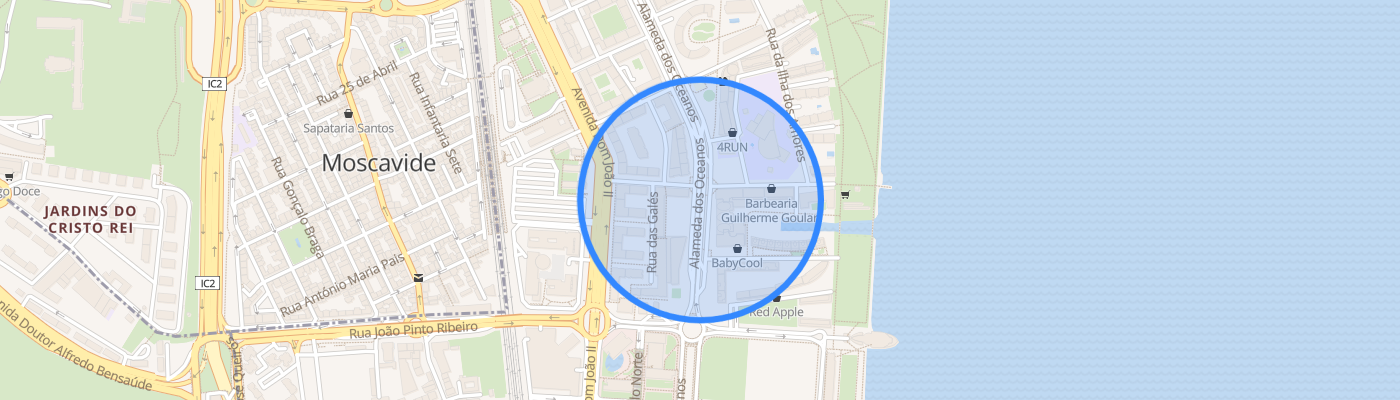 listing-map-picture