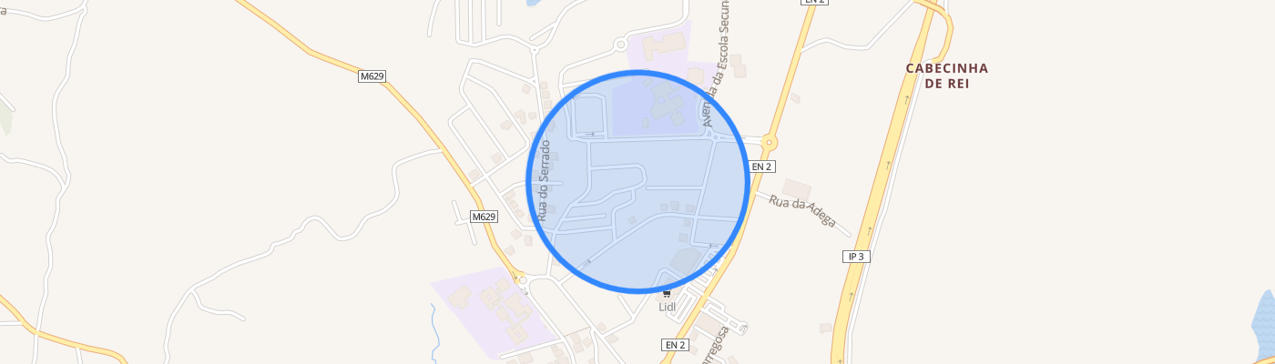 listing-map-picture