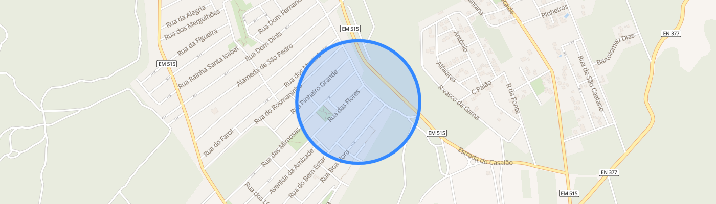 listing-map-picture
