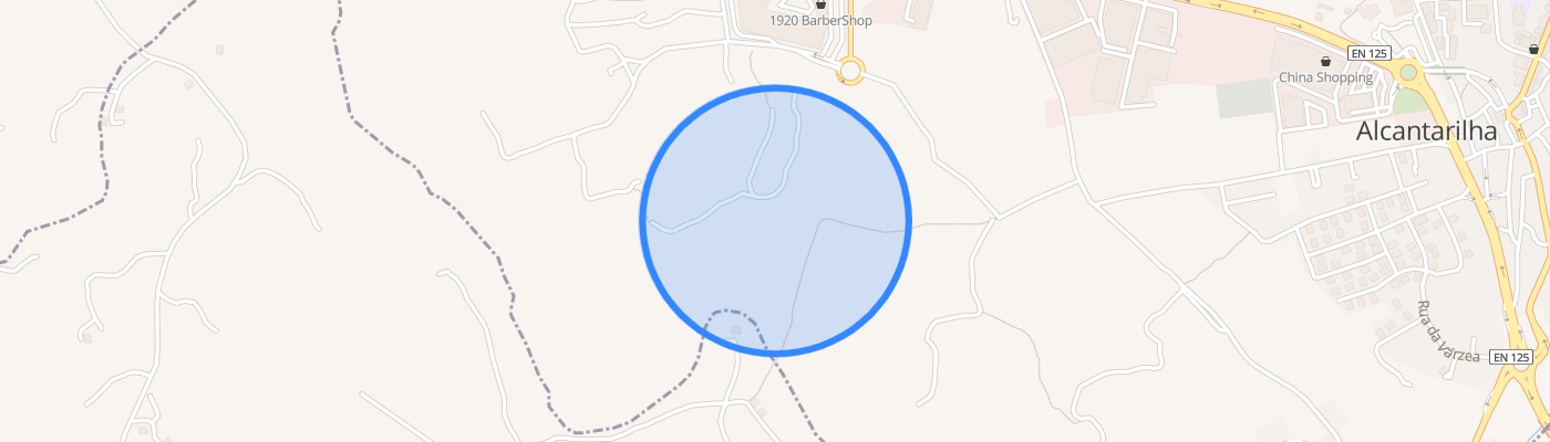 listing-map-picture