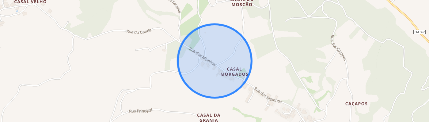 listing-map-picture