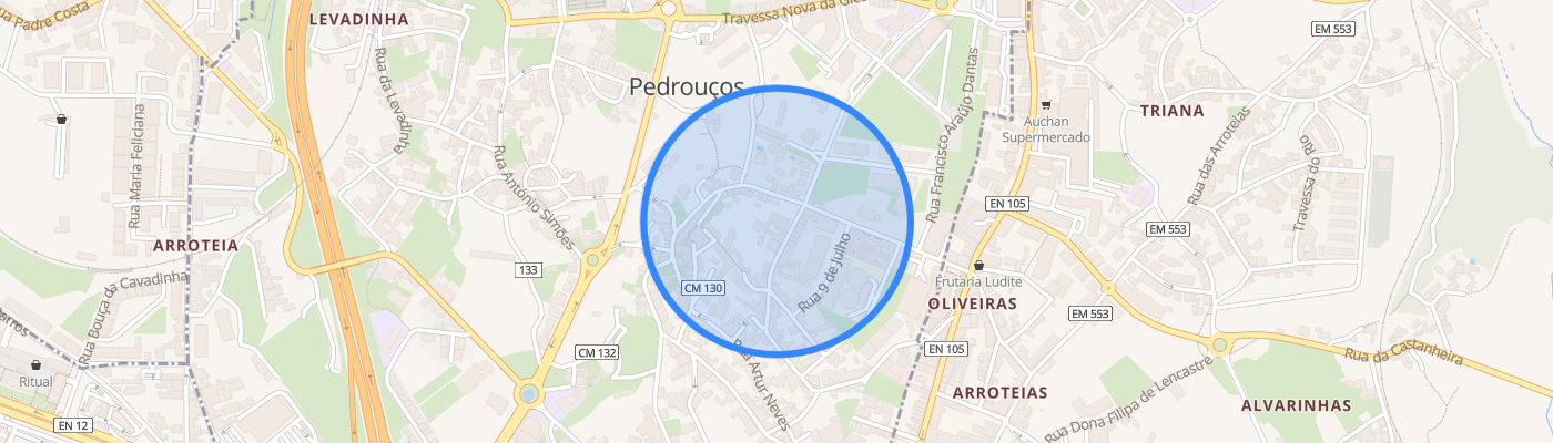 listing-map-picture