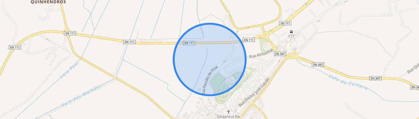 listing-map-picture