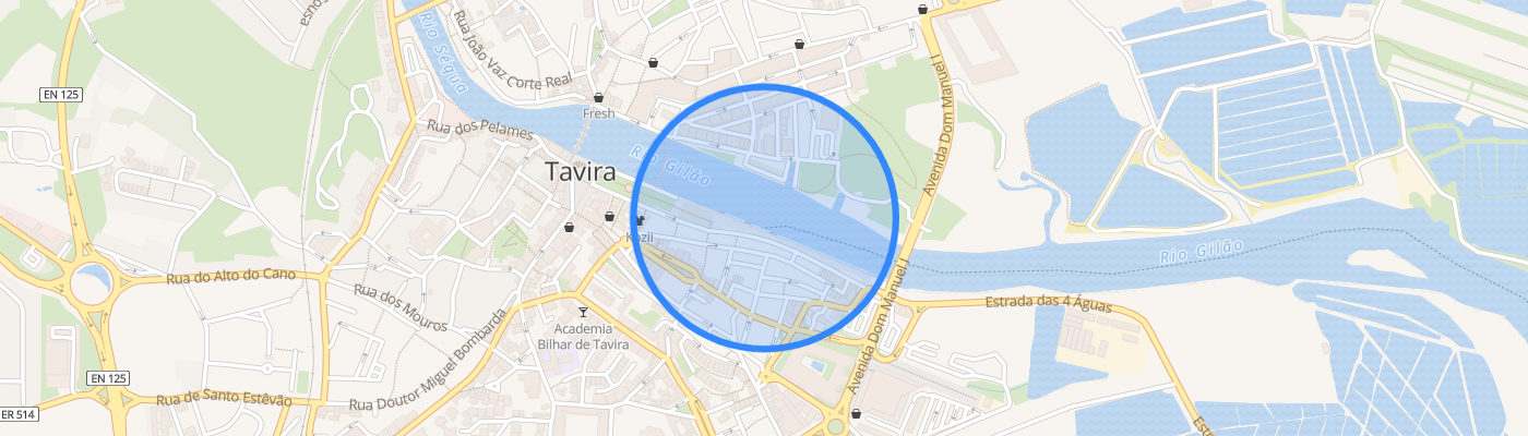 listing-map-picture