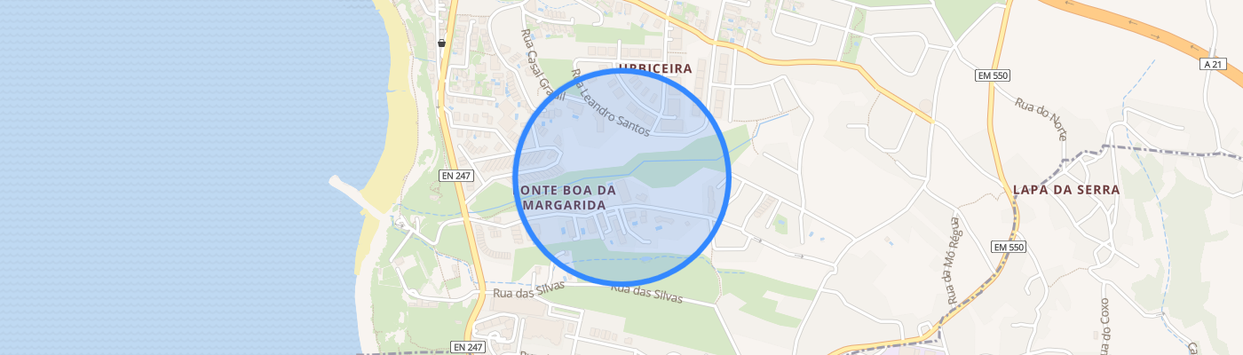 listing-map-picture