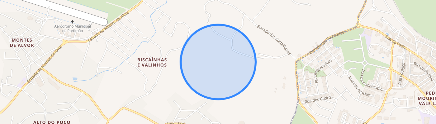 listing-map-picture