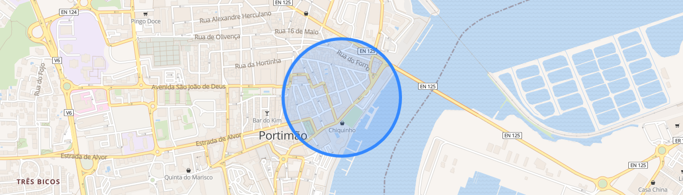 listing-map-picture