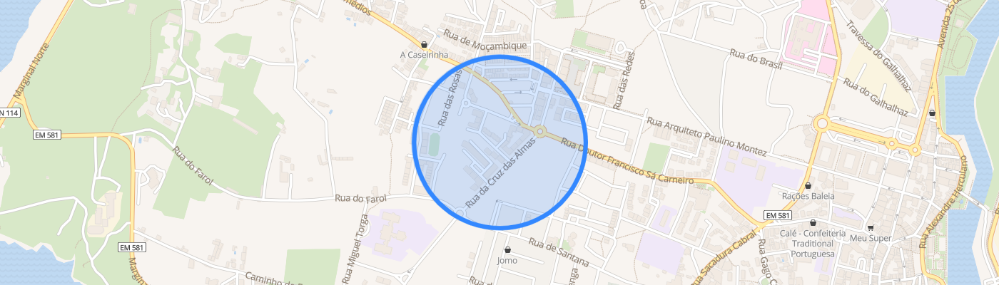 listing-map-picture
