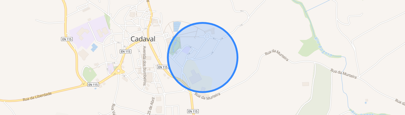 listing-map-picture
