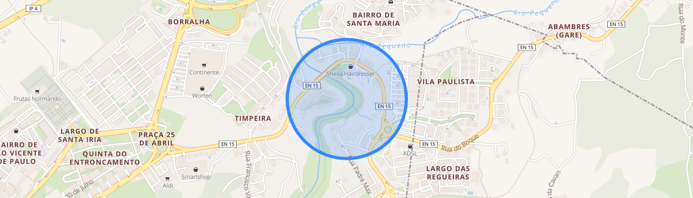 listing-map-picture