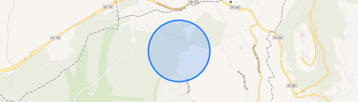 listing-map-picture