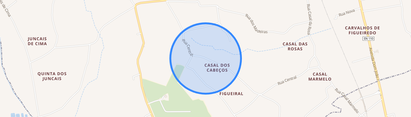 listing-map-picture