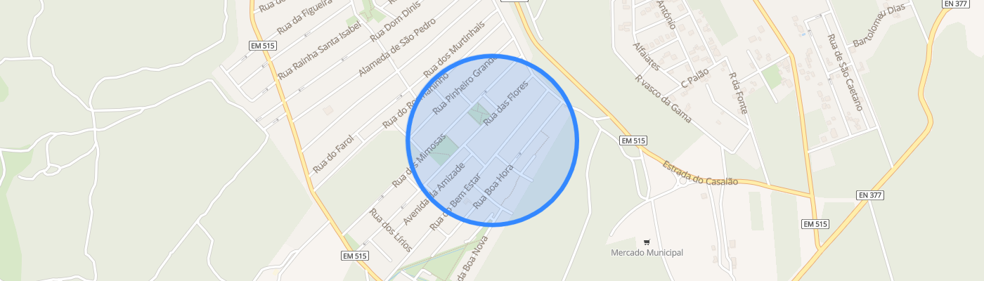 listing-map-picture