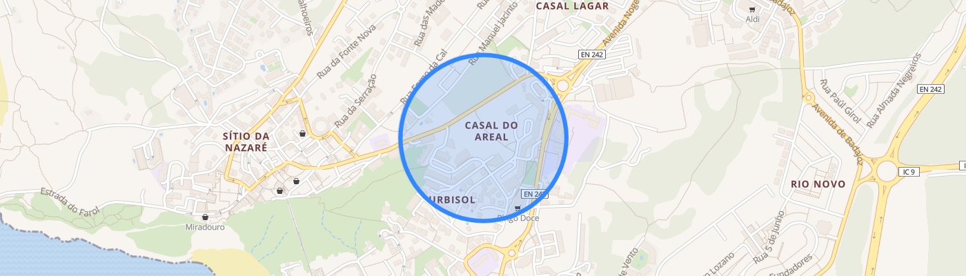 listing-map-picture