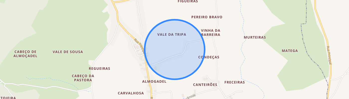 listing-map-picture