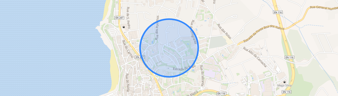 listing-map-picture