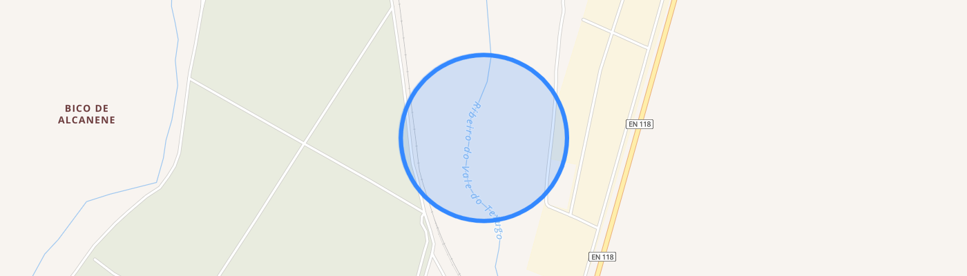 listing-map-picture