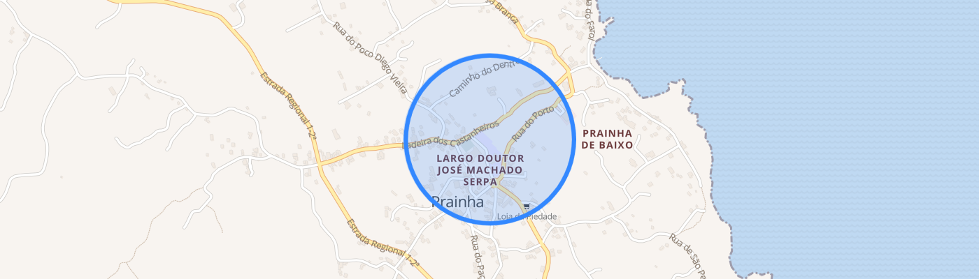 listing-map-picture