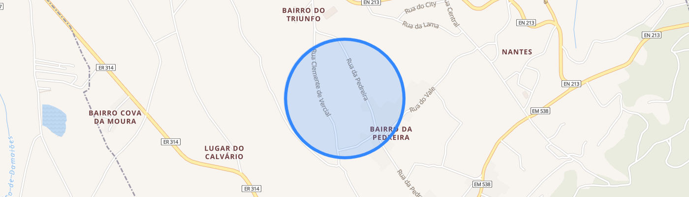 listing-map-picture