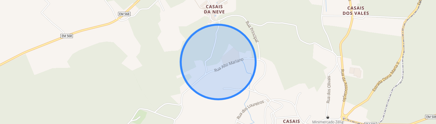 listing-map-picture