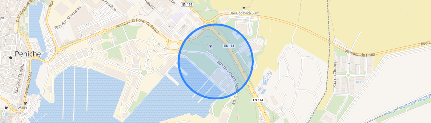 listing-map-picture