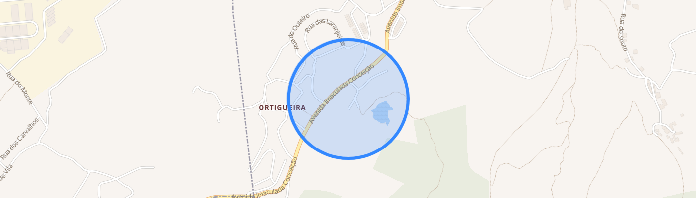 listing-map-picture