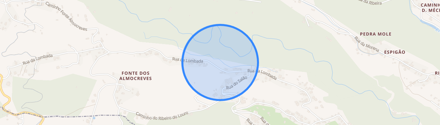 listing-map-picture