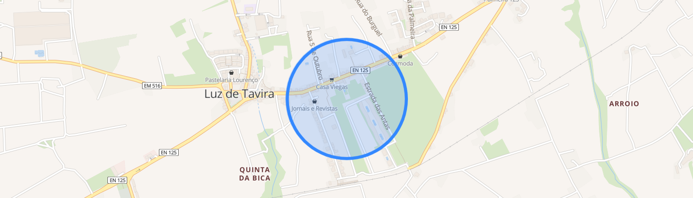 listing-map-picture
