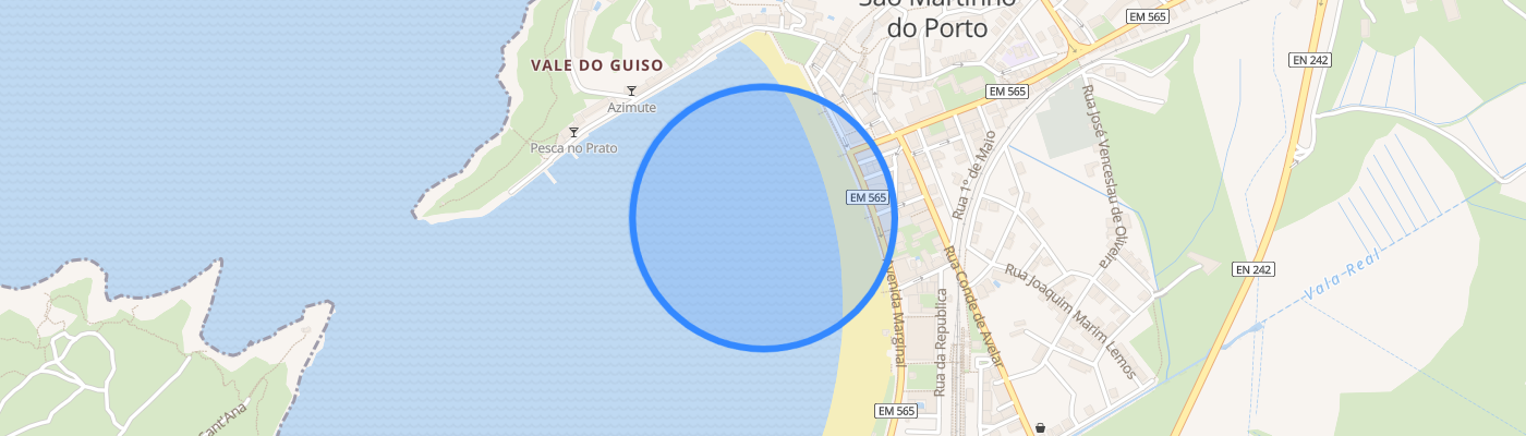 listing-map-picture