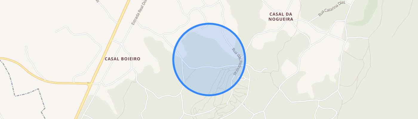 listing-map-picture