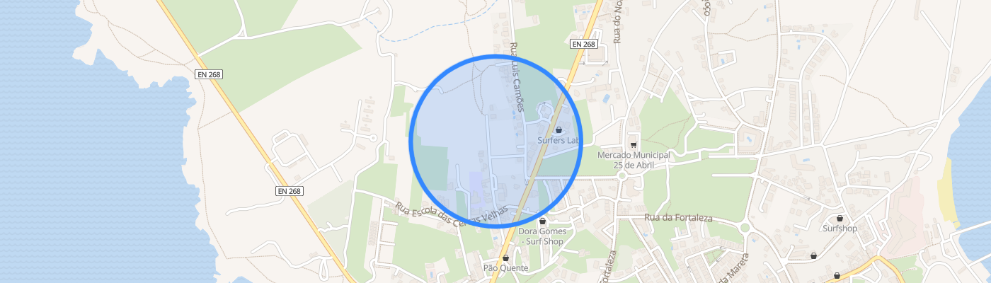 listing-map-picture