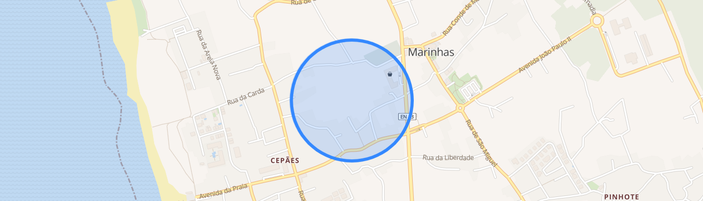 listing-map-picture