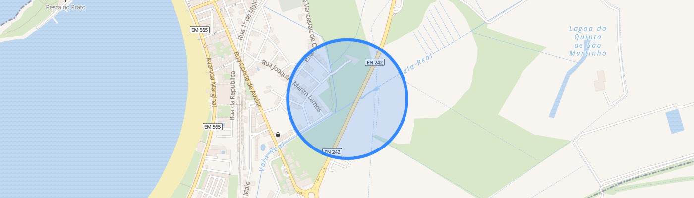 listing-map-picture