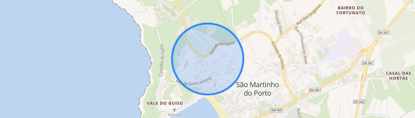 listing-map-picture